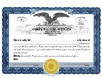        Electronic Digital Single Class Eagle Stock Certificates