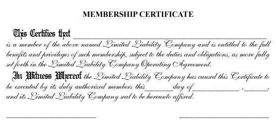 Standard LLC