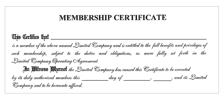 Standard Limited Company