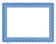 Goes 3520 border only blank stock certificate