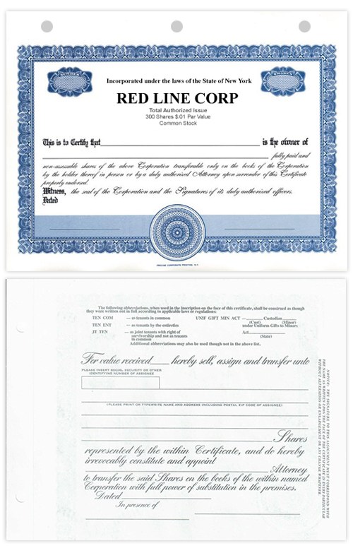 blue standard blank stock certificate