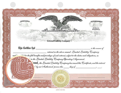 brown eagle stock certificate