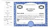 Side Stub Standard Wording Certificates SW5