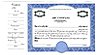 Side Stub Standard Wording Certificates