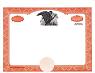   Stock Certificates Eagle_C with Wording on the Back