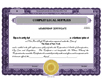               Electronic Digital Not-for-Profit/Nonprofit Stock Certificates