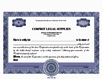         Electronic Digital Single Class Precise Stock Certificates