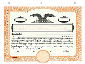 Corporate Focus Interest Certificates