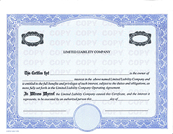 Corporate Focus Share Certificate